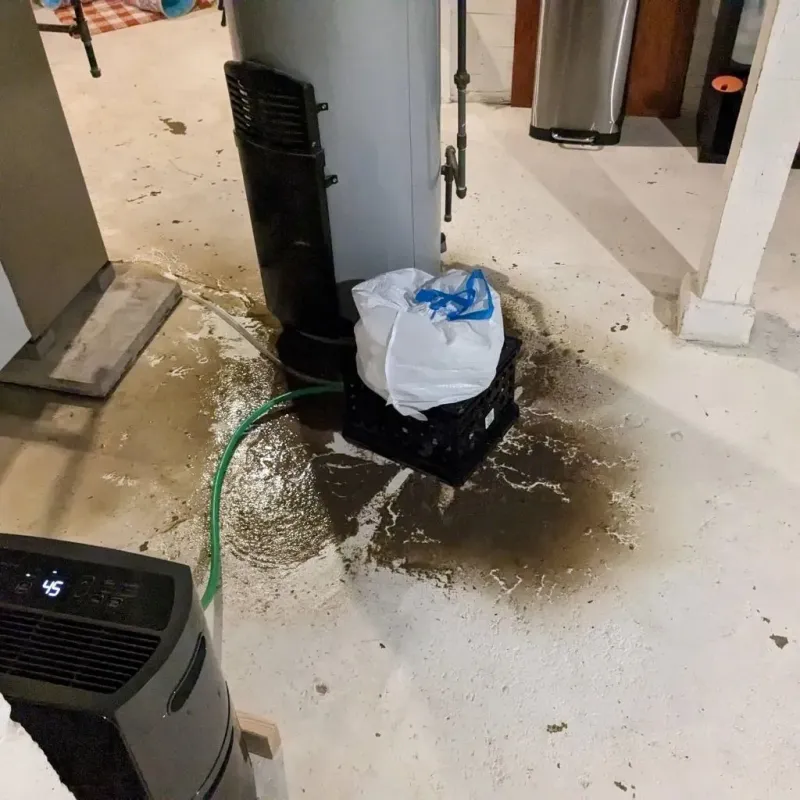 Sewage Backup Cleanup Service in Nicholls, GA